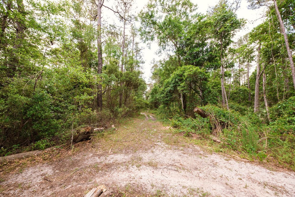 Your Private Oasis Awaits. 0.46 Acre Lot in Satsuma, FL with Seller