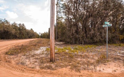 Just 20 mins to Palatka -quarter acre for your Florida homestead