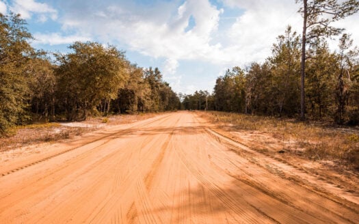 Just 20 mins to Palatka -quarter acre for your Florida homestead