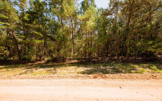 Build Your Dream Home on 0.43 Acres in Sunny Florida