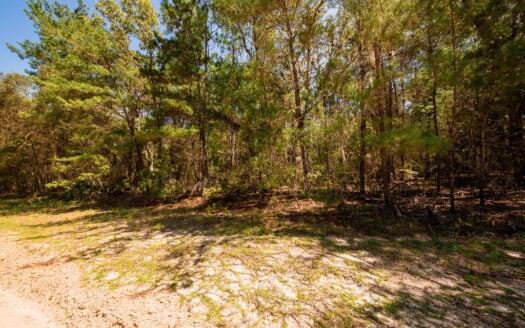 Build Your Dream Home on 0.43 Acres in Sunny Florida