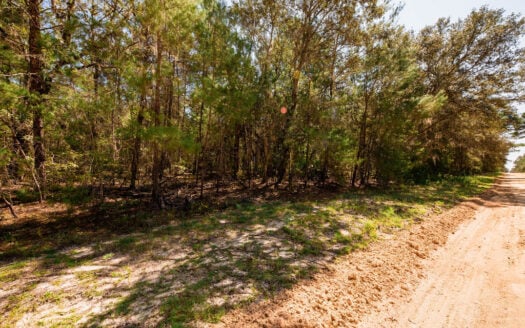 Build Your Dream Home on 0.43 Acres in Sunny Florida