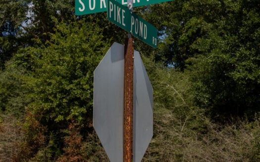 1.25 Acres with Paved Road Access
