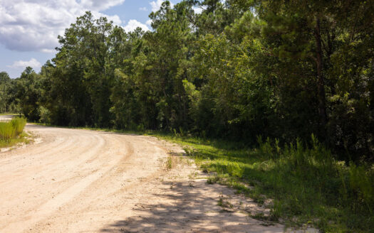 1.34 Acres Buildable Land