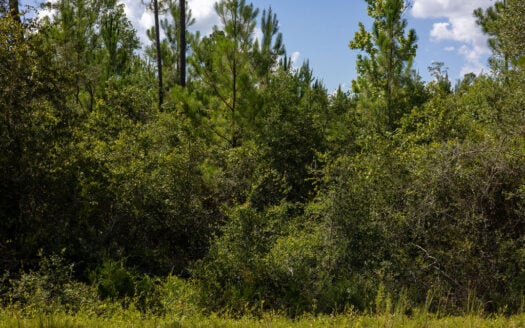 Discover 1.34 Acres of Buildable Land with Easy Road Access
