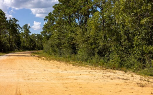 Build Your Modern Barndominium on 1.17 Acres Near Marianna, FL
