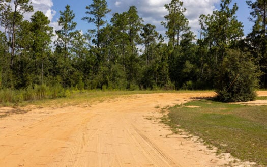 Build Your Modern Barndominium on 1.17 Acres Near Marianna, FL