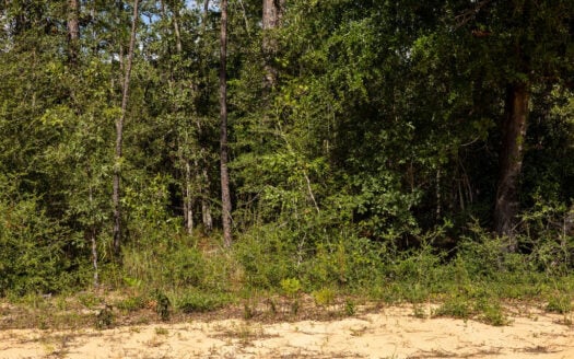 Build Your Modern Barndominium on 1.17 Acres Near Marianna, FL
