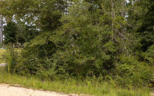 Build What You Want on 1.01 Acres Near Marianna, FL—Owner Financing Available