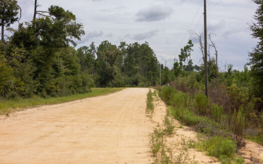 Build What You Want on 1.01 Acres Near Marianna, FL—Owner Financing Available