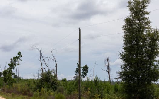 CLEARANCE: 1.01 Acres in Alford (Price Drop)