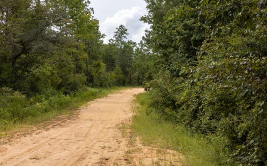 1.26 Acres Near Alford, FL—Flexible Financing Available