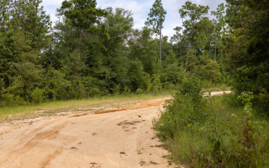 1.26 Acres Near Alford, FL—Flexible Financing Available
