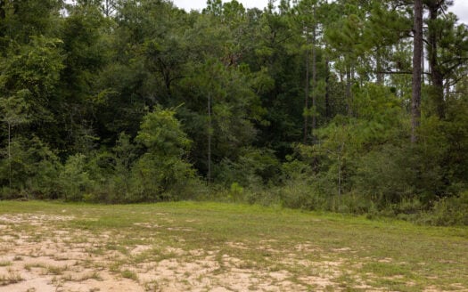 2.34 Acres—Rare Florida Find