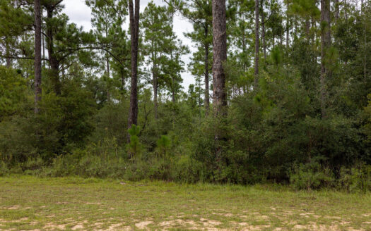 2.34 Acres—Rare Florida Find