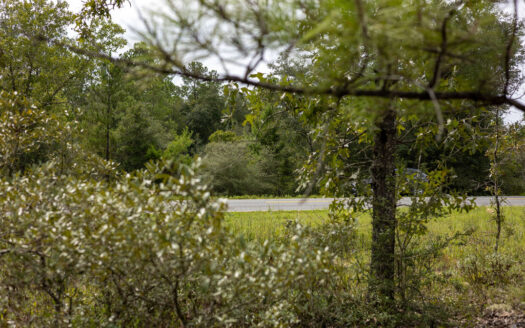 1.16 Acres with Paved Road Access