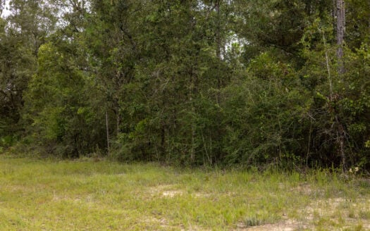 1.38 Acres with Paved Access Near Alford, FL
