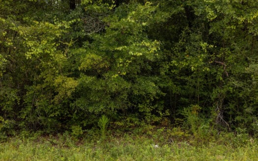 1.17 acres—Paved Road Access