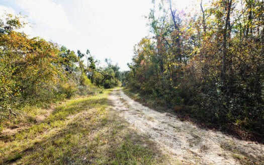 0.49 Acres Recreational Land with RV Potential