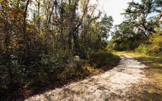 0.49 Acres Recreational Land with RV Potential