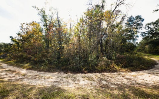 0.49 Acres Recreational Land with RV Potential