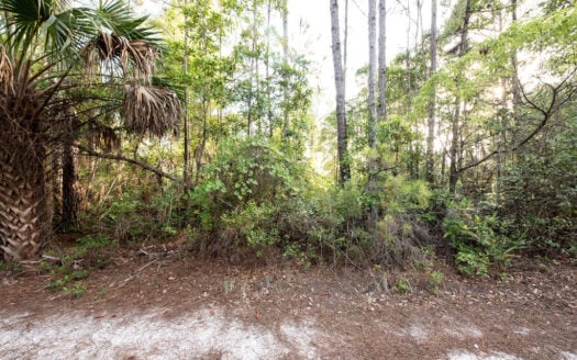 0.23 Acres in Satsuma, FL. Manufactured Homes Allowed