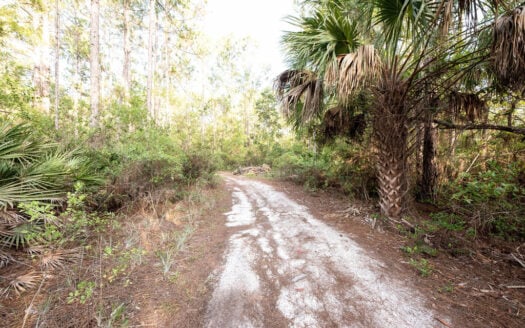 0.23 Acres in Satsuma, FL. Manufactured Homes Allowed