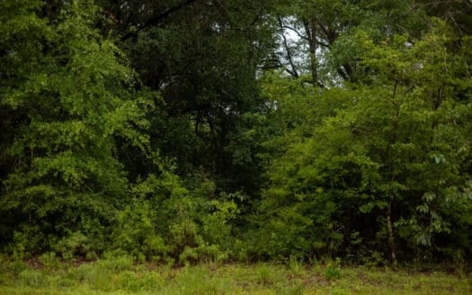 1.12 Acres – Own it for $599 down