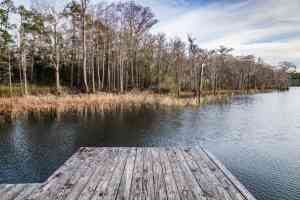 Website Hero (300 x 200 px)